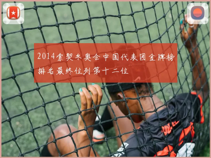 2014索契冬奥会中国代表团金牌榜排名最终位列第十二位