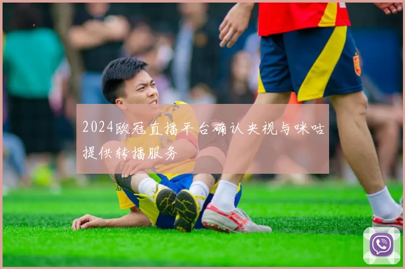 2024欧冠直播平台确认央视与咪咕提供转播服务