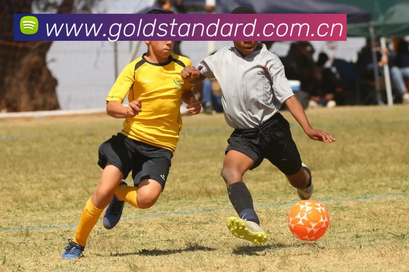 pg电子官方网址入口 - pg不凡成就非凡官网服务体系